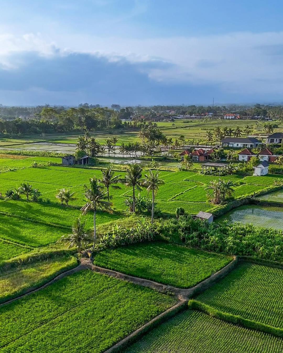 Ikada Villa By Pramana Villas Ubud Eksteriør billede