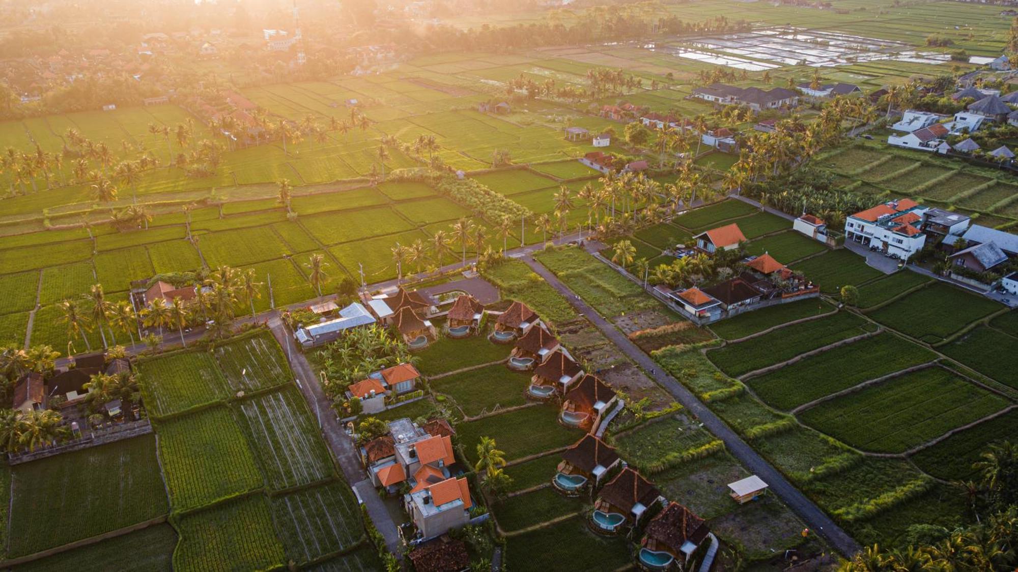 Ikada Villa By Pramana Villas Ubud Eksteriør billede